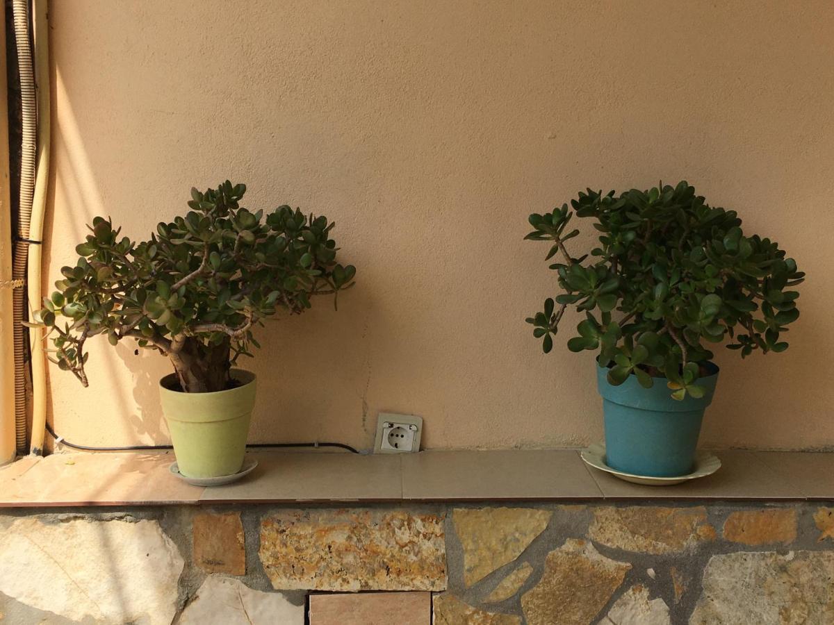Olivia Grove Homestay Himare